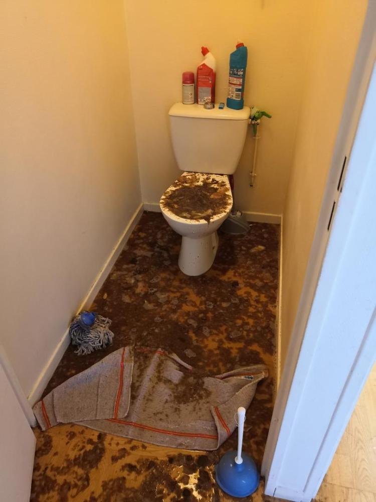 toilettess bouchés